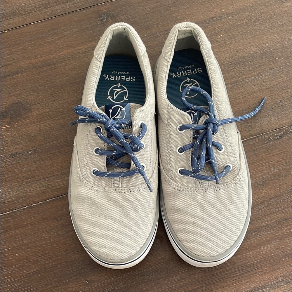 Sperry boys Gray Canvas Shoes